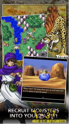 ߶5 Dragon Quest 5 5.JPG