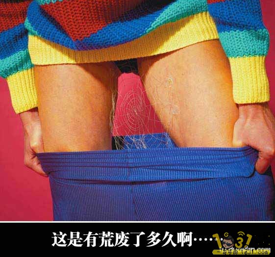 35ce2882f7fa775d6762ae453d9a787b.jpg