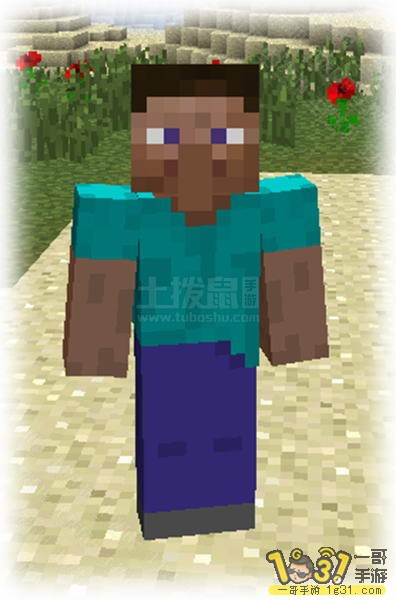2.JPG