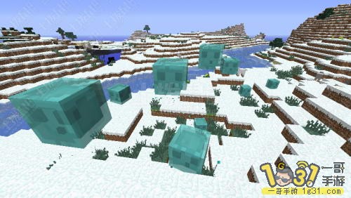 7.JPG