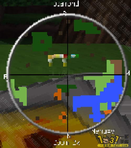5.JPG
