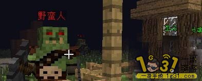13.JPG