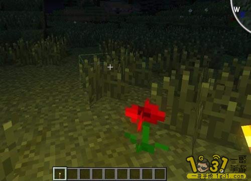 2.JPG