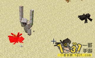 5.JPG