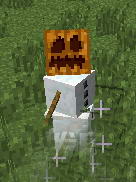 7.JPG