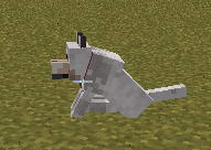 14.JPG