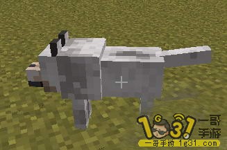 15.JPG