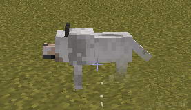 16.JPG