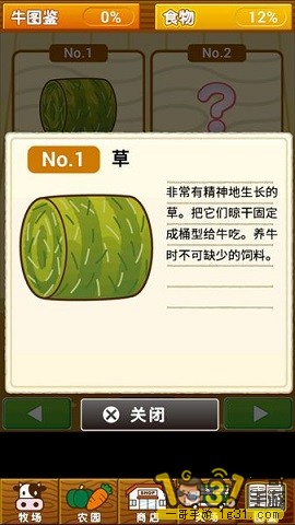 ţ