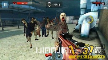 ʬĿ.jpg