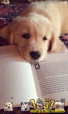 230 (1).jpg