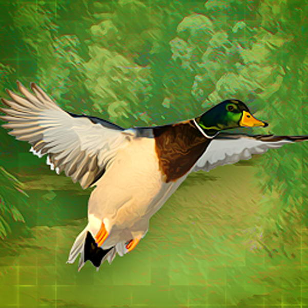 ֻϷ