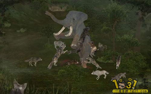 1-77889-2-1492762792129_360x640.jpg