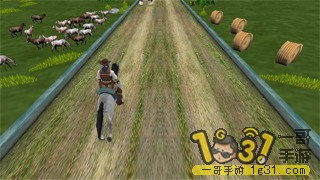 162331xh8xvhxbxzpbrrb8.JPG