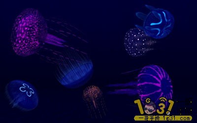 1115087vdedef5sa2cn5hv.jpg