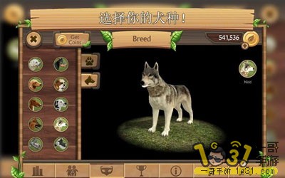 183710qt40wtbu2pnwoss7.JPG