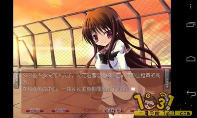 205812mbwrn9maswynrybm.jpg