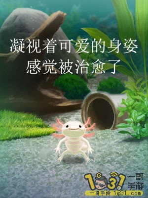 1433034iur04cg4ajrt34g.jpg
