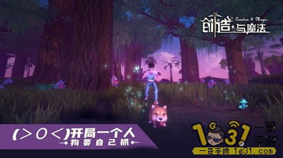 204741zdifwanz8ad1cb1b.jpg