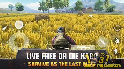 1509488y9y8mym9mqqc9m9.jpg