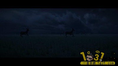 0074gqRdly1g191kwyqvfj30jl0b0wei.jpg