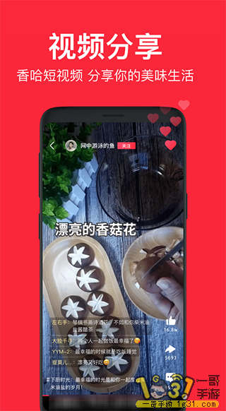 1524213wf65fwnv3s5el6e.png