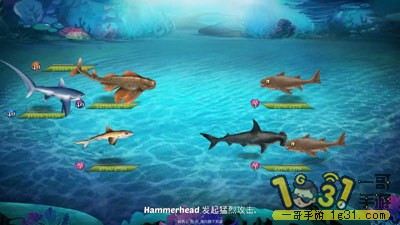 14181122mxwudn4a2mg6m1.jpg