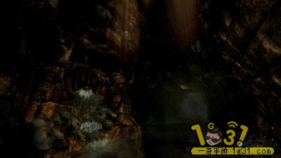 152649ulguqllu55z0nmvm.jpg